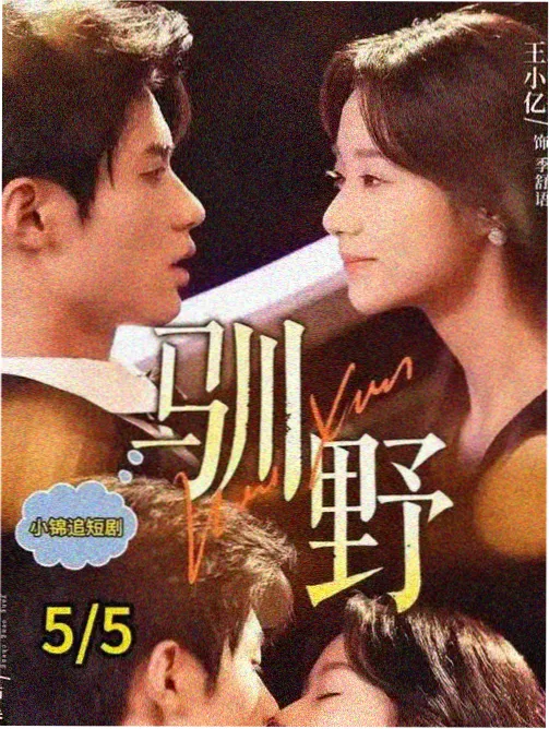 题材图鉴：剧集单元结构示例图